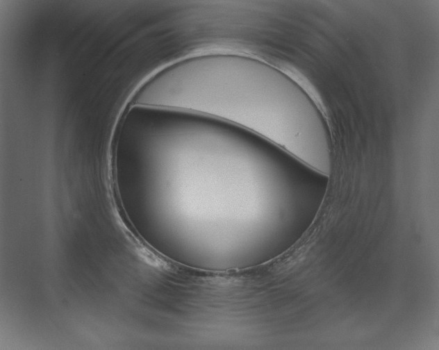 X0000073950996200608210937
