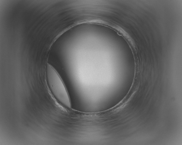 X0000073951001200608210937