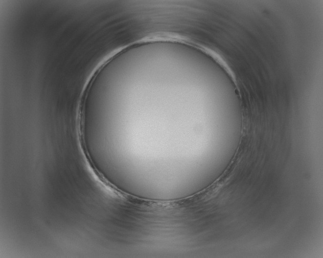 X0000073951003200608210937
