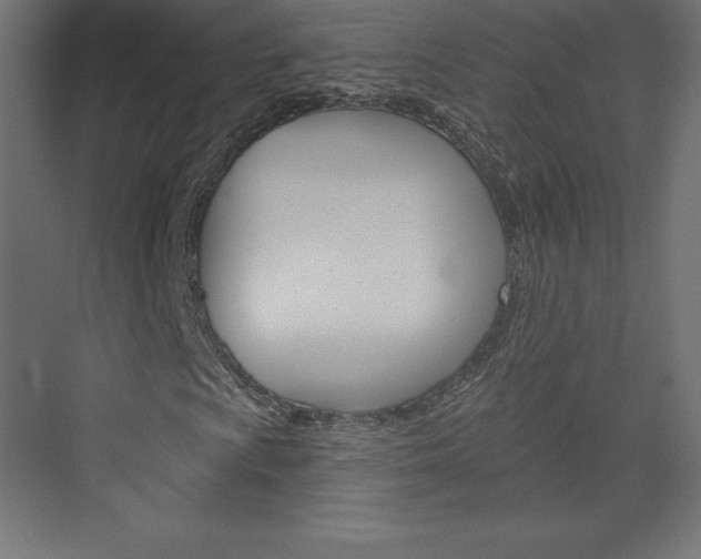 X0000073951009200608210936
