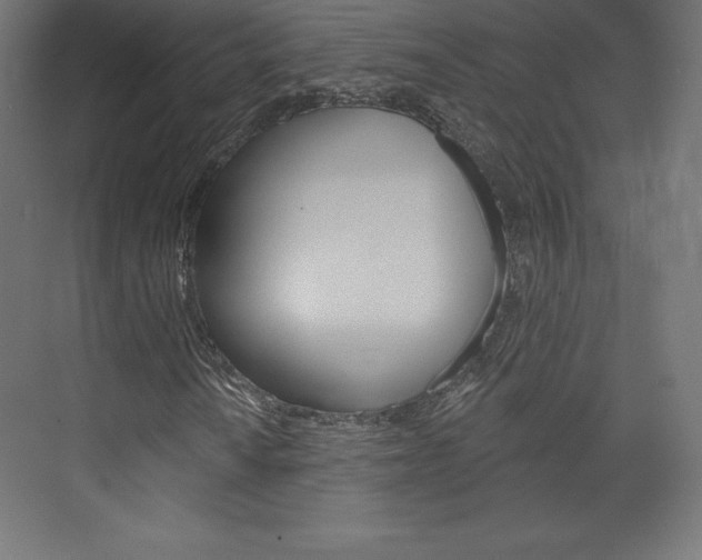 X0000073951010200608210936