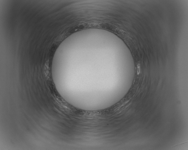 X0000073951011200608210937