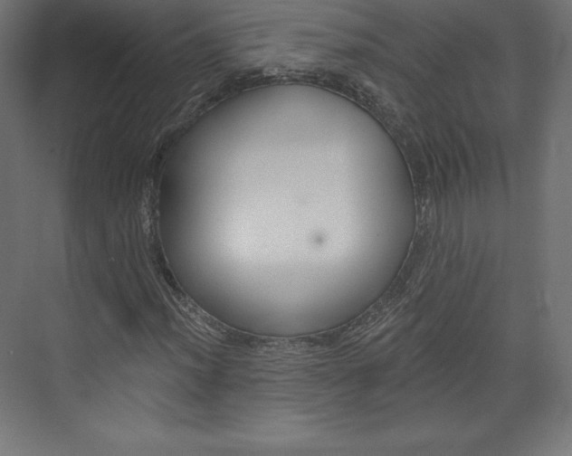 X0000073951012200608210937