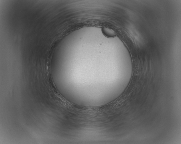 X0000073951013200608210937