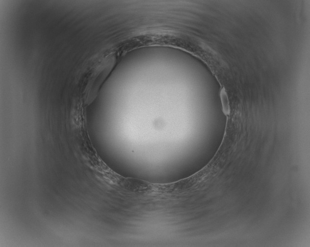 X0000073951014200608210937