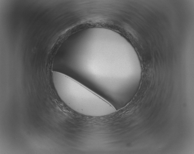 X0000073951016200608210937