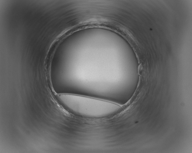 X0000073951018200608210937
