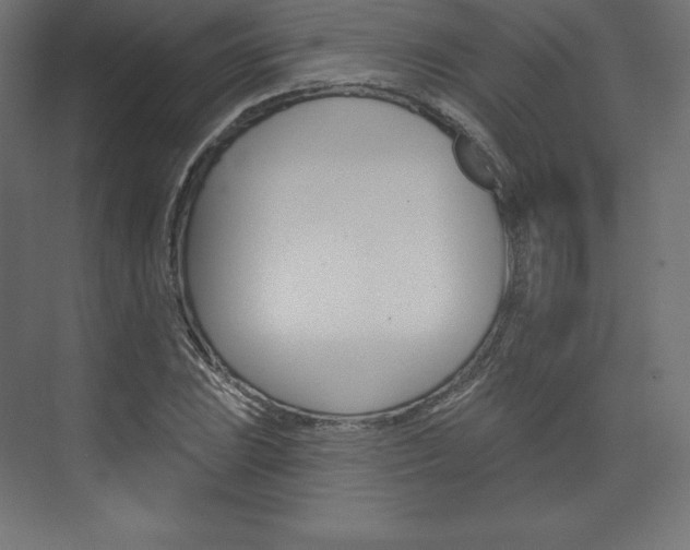 X0000073951023200608210937