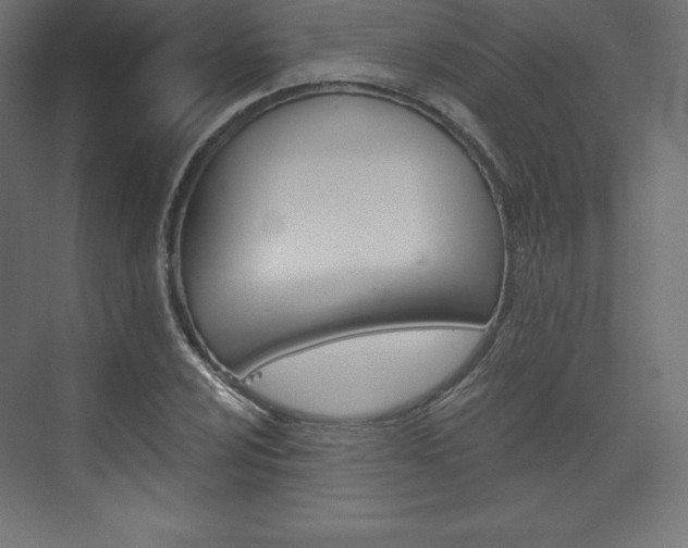 X0000073951024200608210937