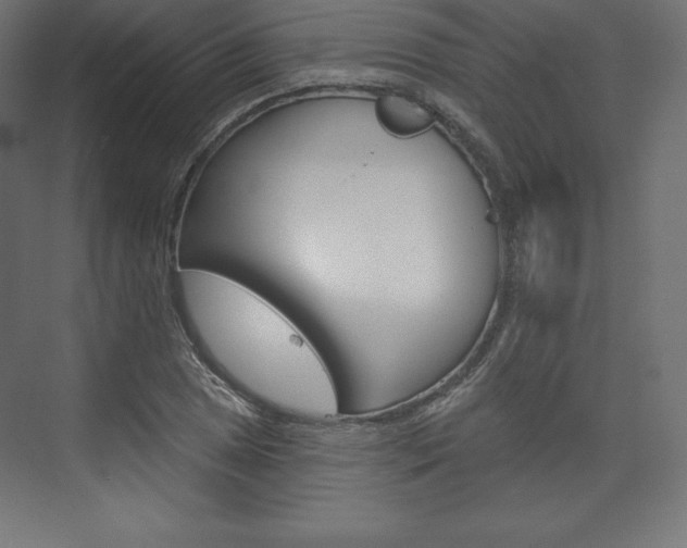 X0000073951025200608210937