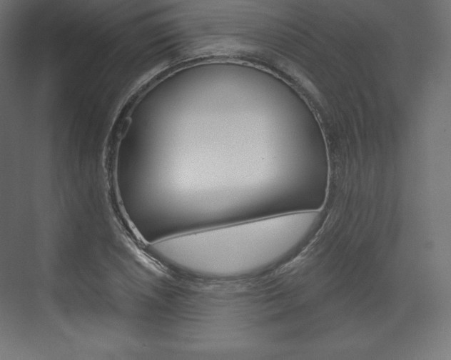 X0000073951026200608210937