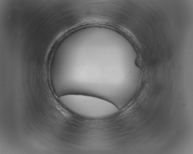 X0000073951027200608210937