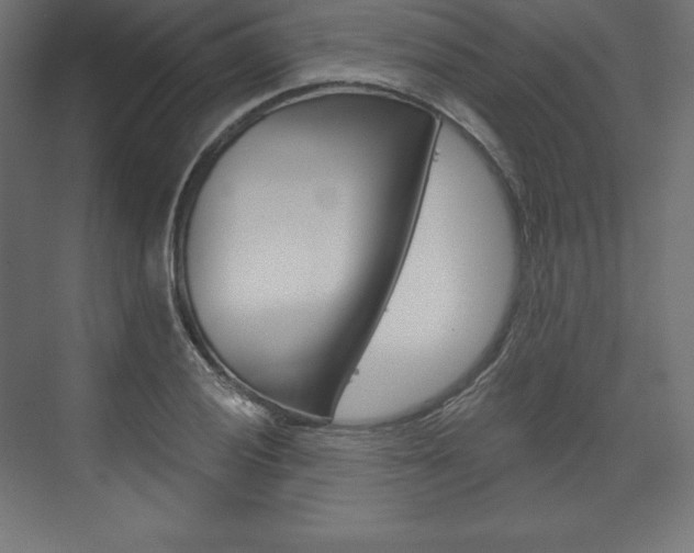 X0000073951028200608210937
