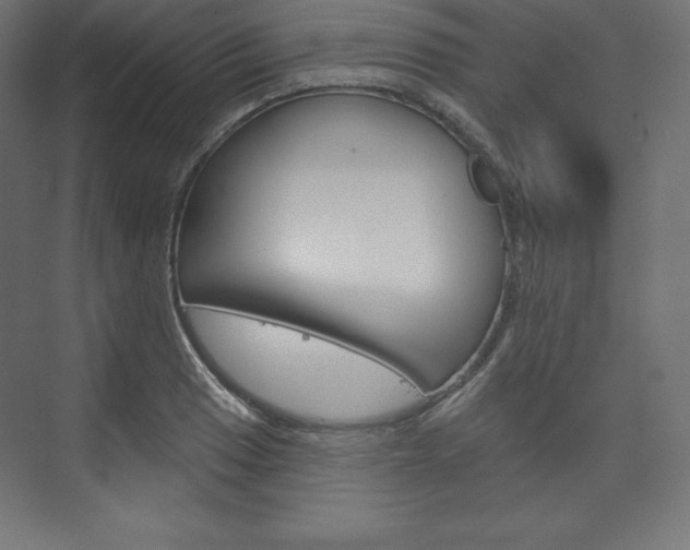 X0000073951033200608210937