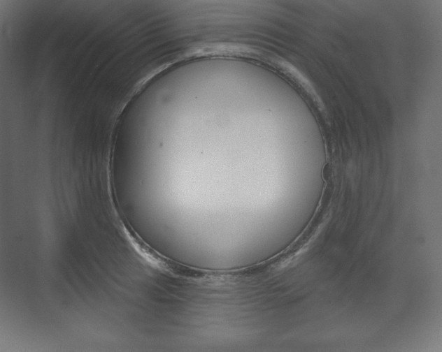 X0000073951041200608210937