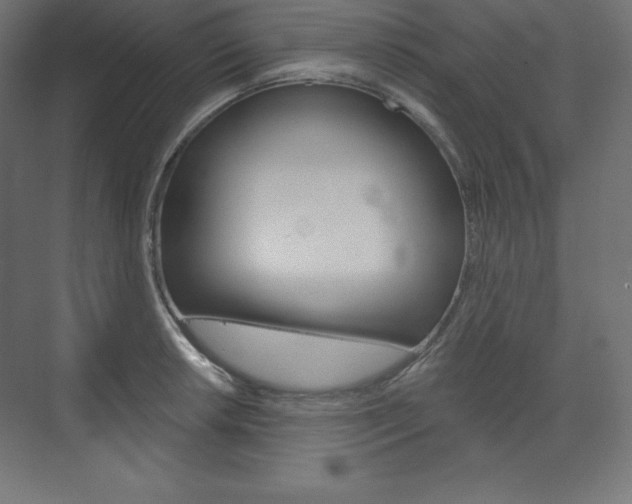 X0000073951042200608210937