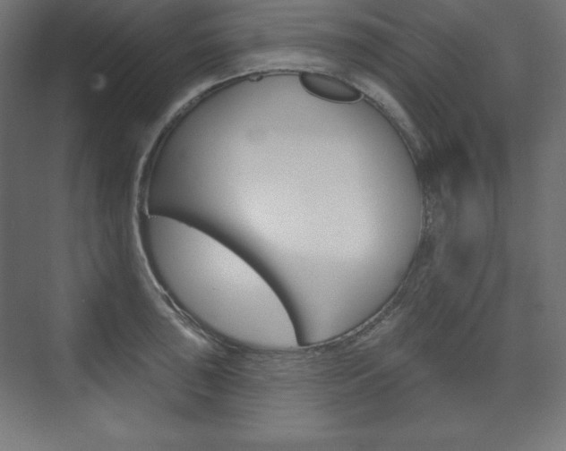 X0000073951043200608210937