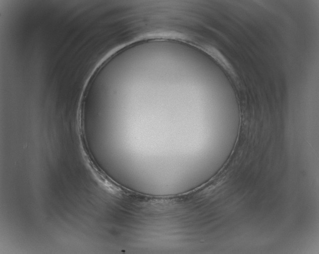 X0000073951044200608210937