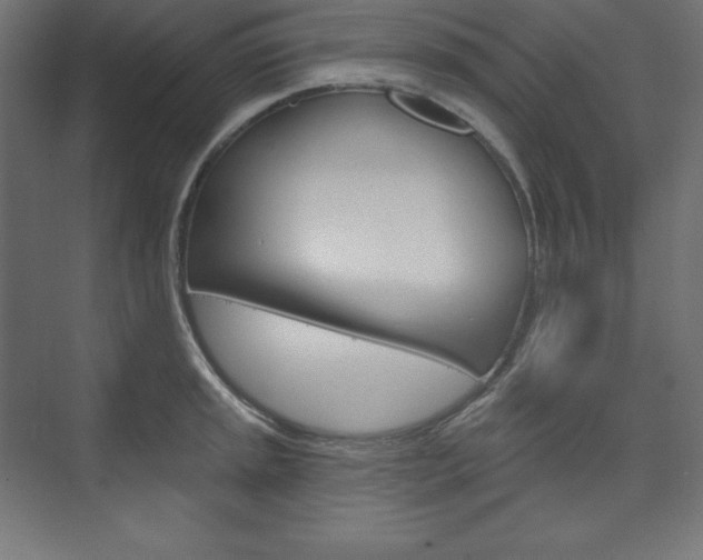 X0000073951045200608210937