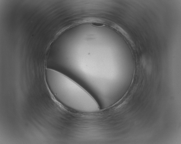 X0000073951049200608210937