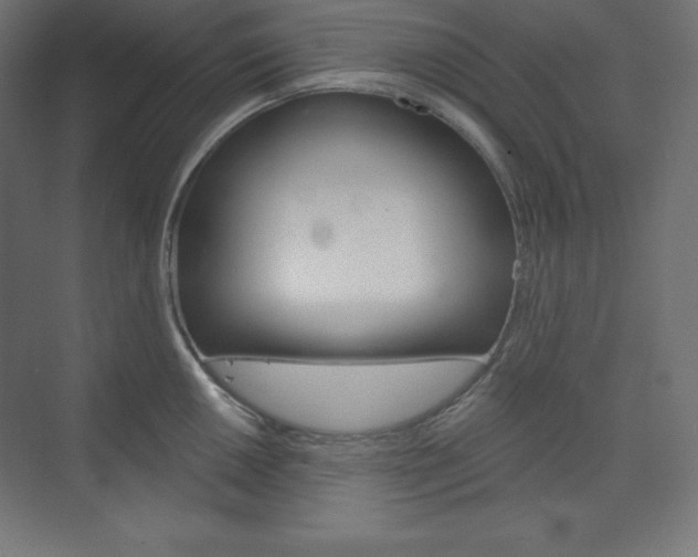 X0000073951050200608210937