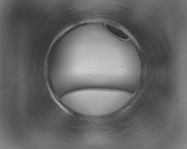 X0000073951053200608210937