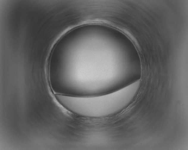 X0000073951054200608210937
