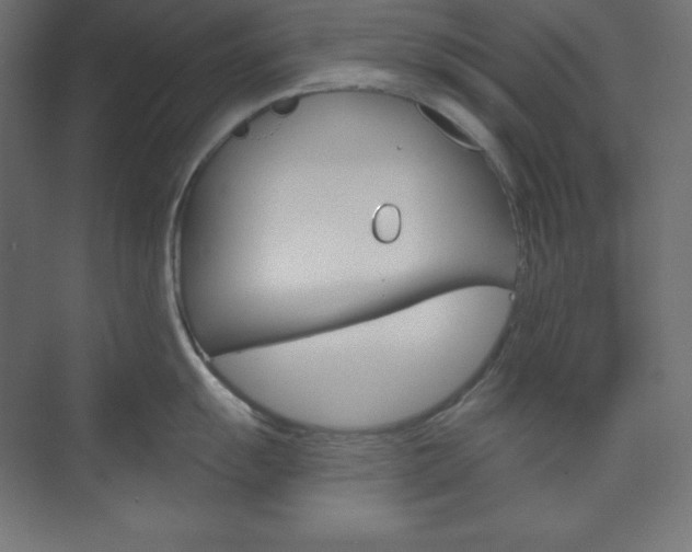 X0000073951055200608210937