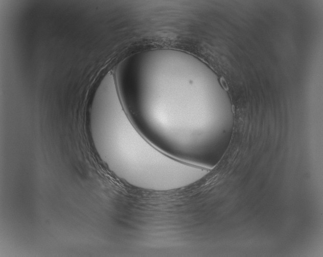 X0000073951057200608210936