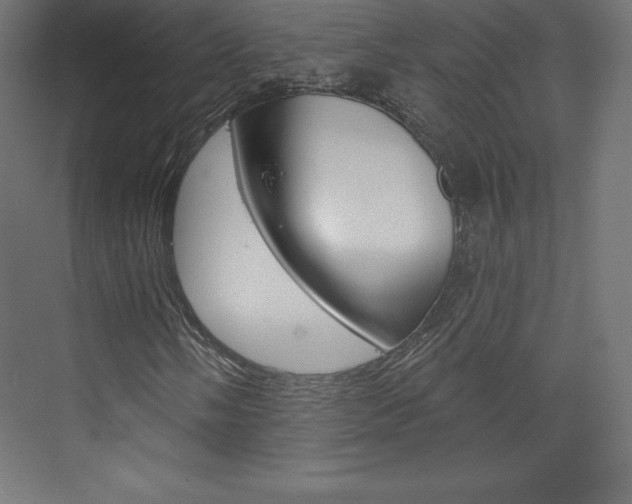 X0000073951058200608210936