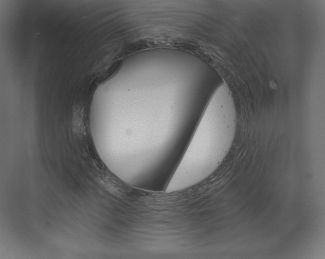 X0000073951060200608210936