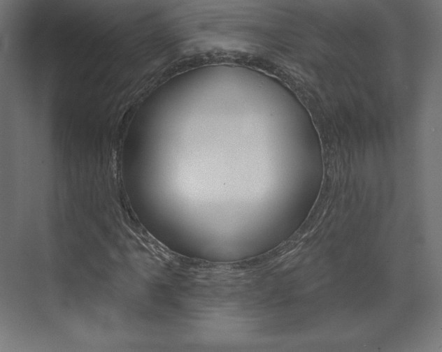 X0000073951061200608210936