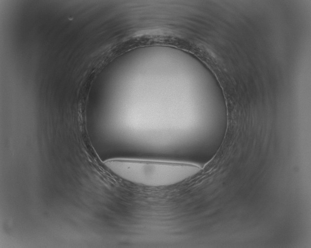 X0000073951062200608210936