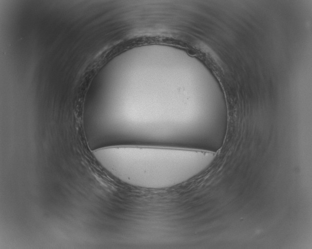 X0000073951064200608210936