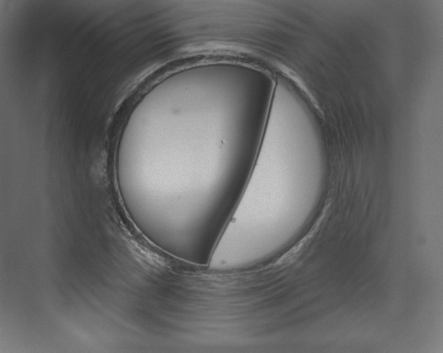 X0000073951066200608210936
