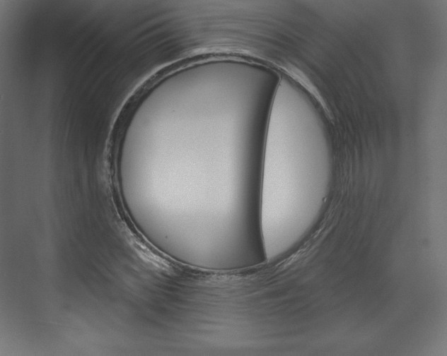 X0000073951068200608210936