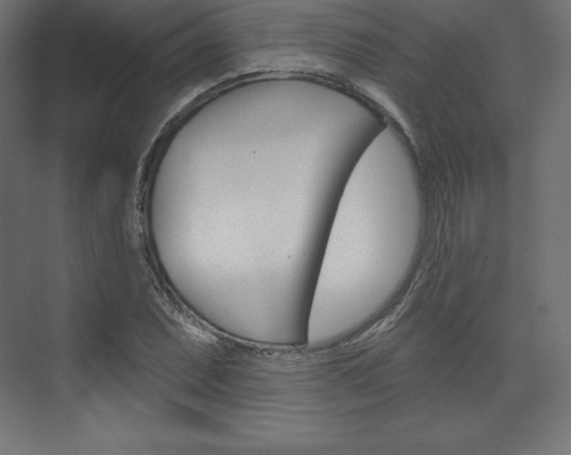 X0000073951071200608210936