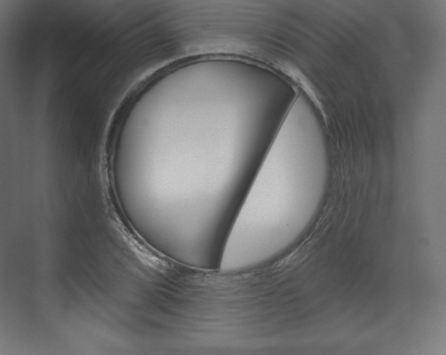 X0000073951072200608210936