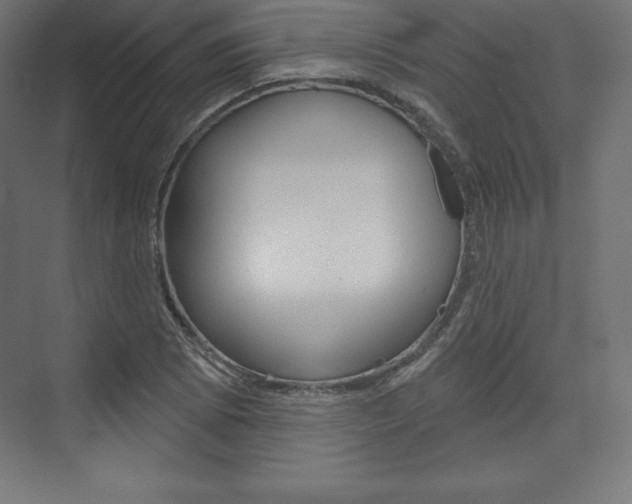 X0000073951073200608210936