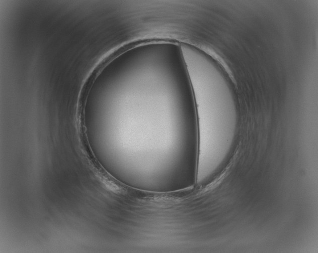 X0000073951077200608210936
