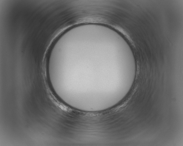 X0000073951078200608210936
