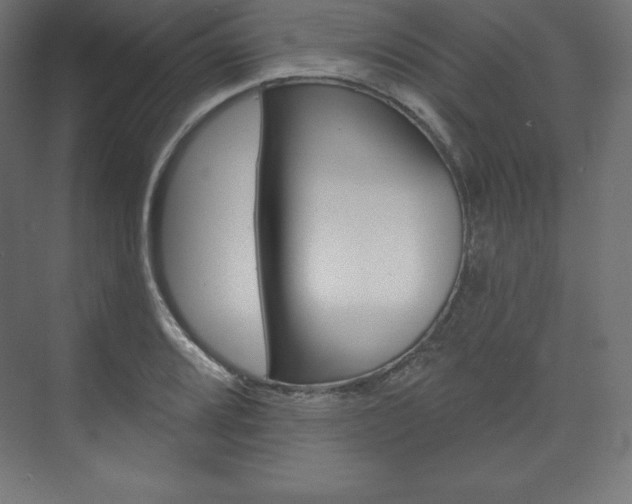 X0000073951080200608210936