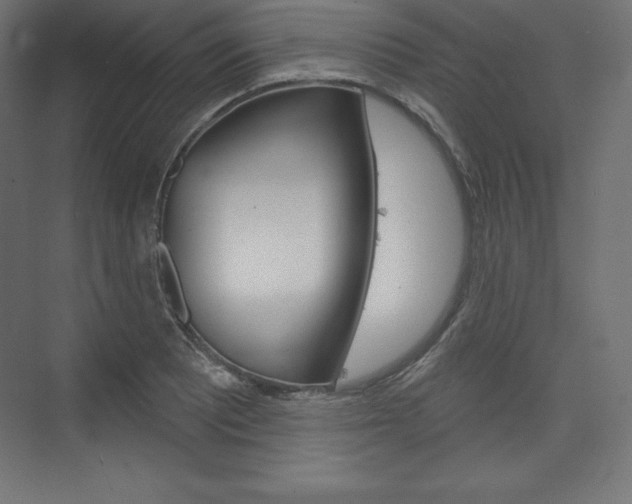 X0000073951081200608210936