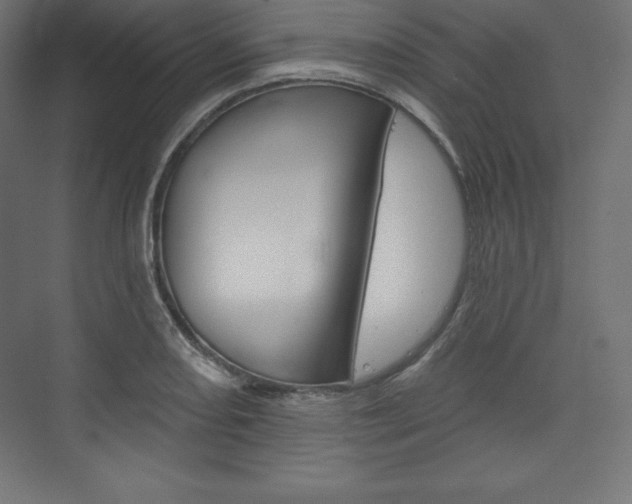 X0000073951082200608210936