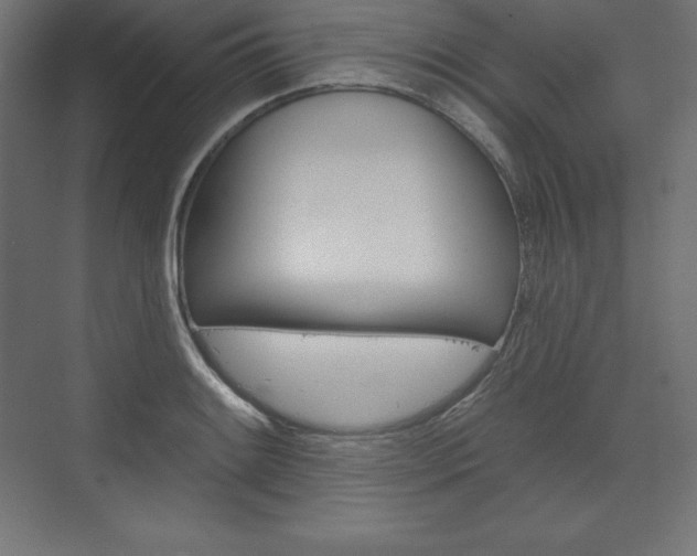 X0000073951084200608210936