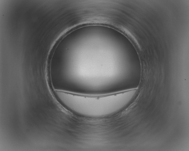 X0000073951085200608210936