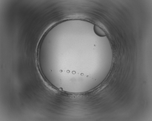 X0000073951087200608210936