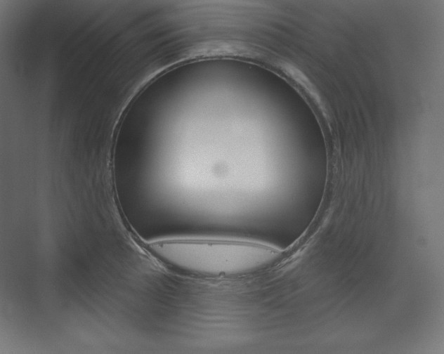 X0000073951089200608210936