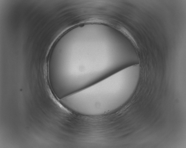 X0000073951092200608210936