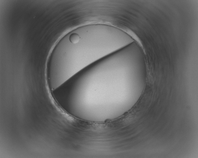 X0000073951096200608210936